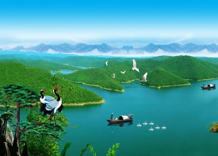 全自动独特高端